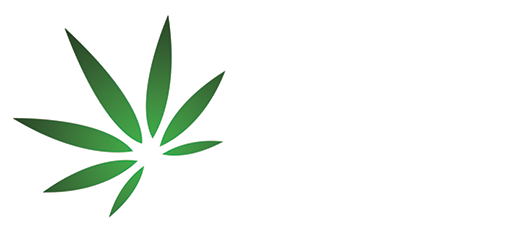 CBD-Oil-Leaves